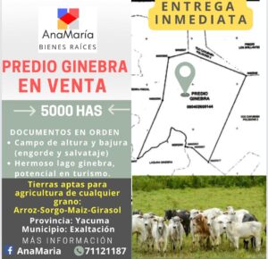 PREDIO GINEBRA-YACUMA