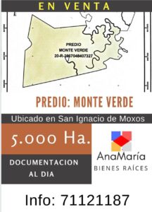 PREDIO MONTE VERDE-SAN IGNACIO